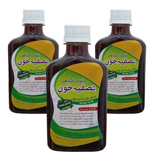 شربت گیاهی تصفیه خون جالینوس - 260 میلی لیتر بسته 3 عددی