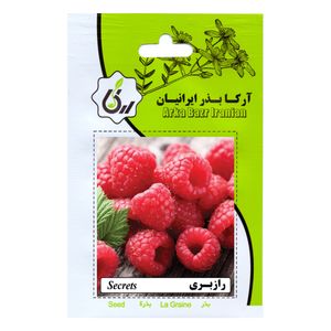 نقد و بررسی بذر میوه رازبری آرکا بذر ایرانیان کد 38-ARK توسط خریداران