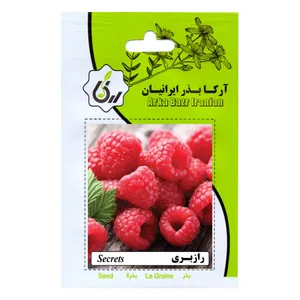 بذر رازبری آرکا بذر ایرانیان مدل B133