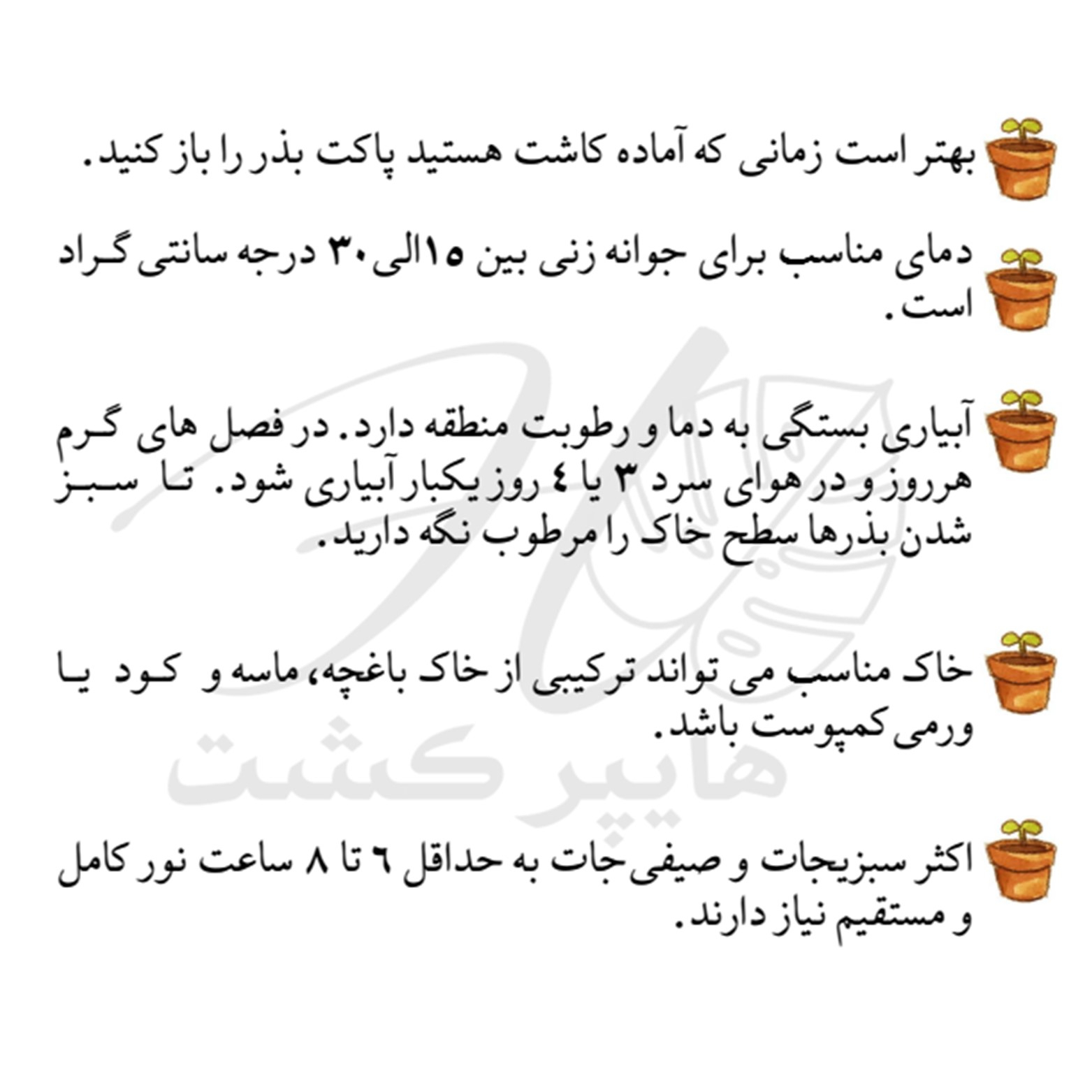 بذر سبزیجات خوراکی گرین سیدز کد 2003 مجموعه 8 عددی
