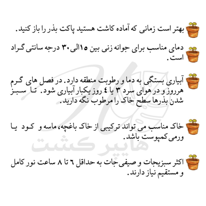 بذر شوید، اسفناج و گشنیز گرین سیدز کد 2004 مجموعه 3 عددی بذر شوید، اسفناج و گشنیز گرین سیدز کد 2004 مجموعه 3 عددی