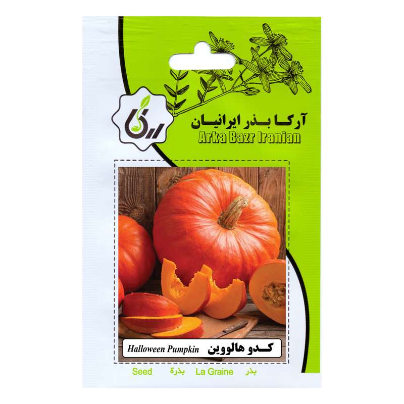 بذر کدو هالووین آرکا بذر ایرانیان کد ARK-125