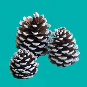 دکوری مدل کاج Ka3 بسته 3 عددی