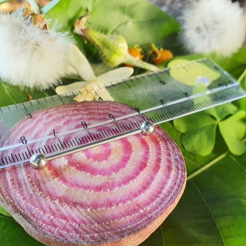 پیرسینگ پایتخت مدل PS328