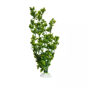 گیاه تزیینی آکواریوم مدل اختاپوسی کد 05