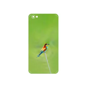 MAHOOT European bee-eater Cover Sticker for Xiaomi Redmi Note 5A