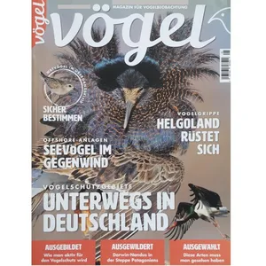 مجله Vogel می 2023