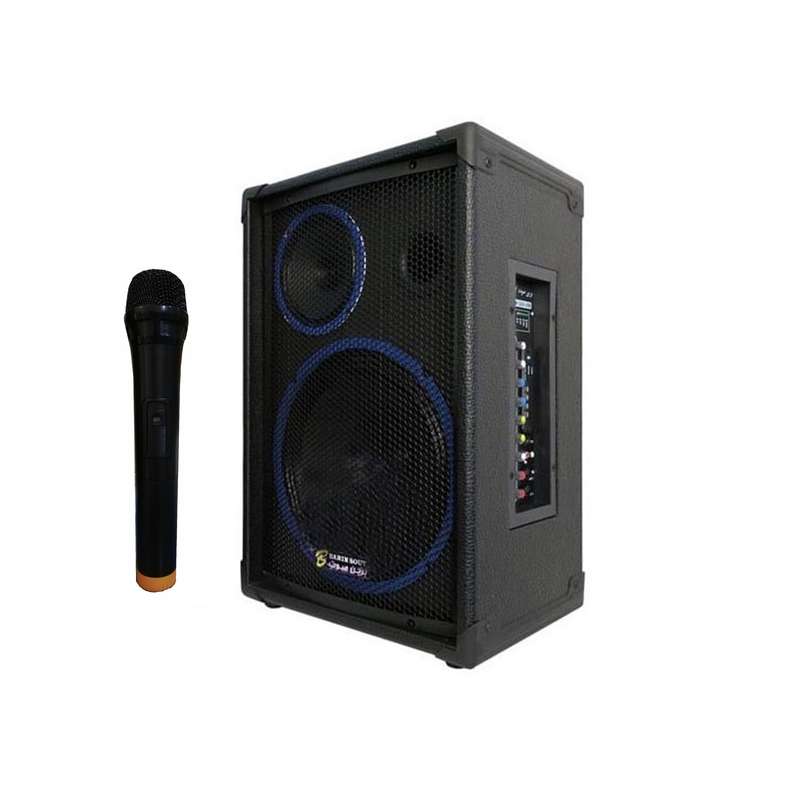 اکو همراه برین صوت مدل 12250 به همراه میکروفن بی سیم