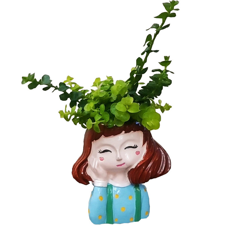 گیاه طبیعی چمن طلایی مدل B-16 گیاه طبیعی چمن طلایی مدل B-16