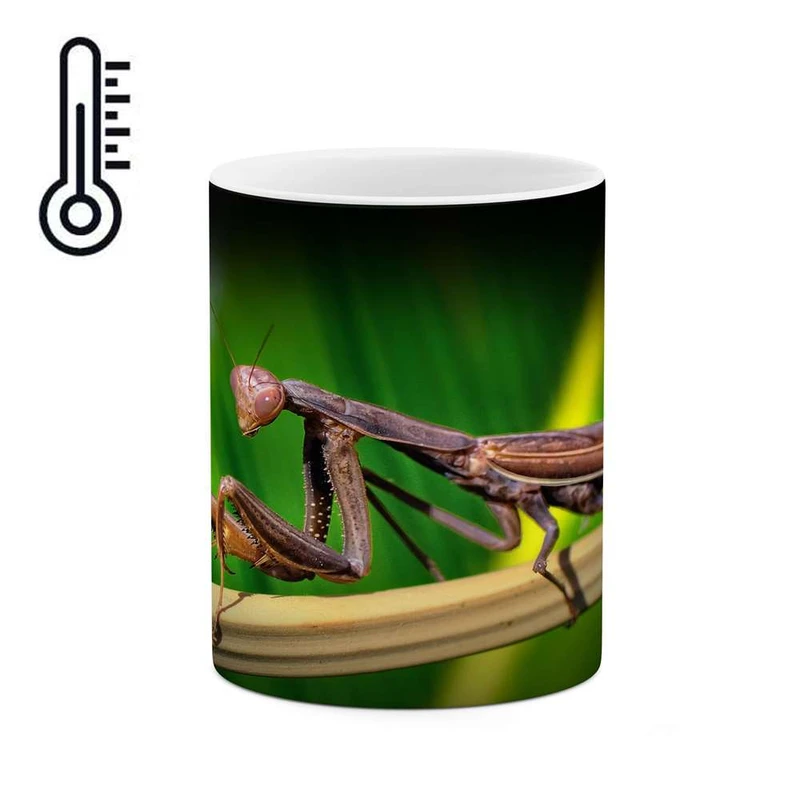 ماگ حرارتی کاکتی مدل ملخ کد mgh15800