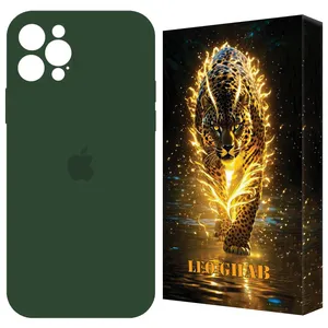LEO GHAB ORGSLL Cover Suitable For Apple iPhone 12 Pro Max Mobile Phone