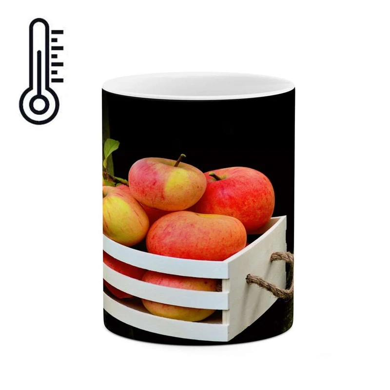 ماگ حرارتی کاکتی مدل میوه کد mgh14642