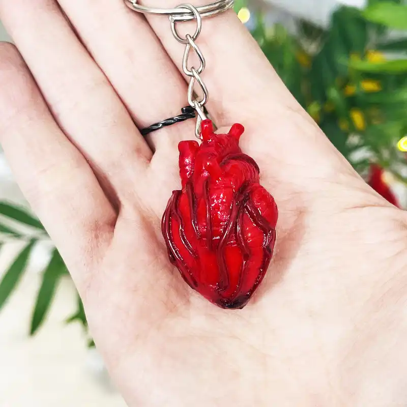 جاکلیدی مدل آناتومی قلب