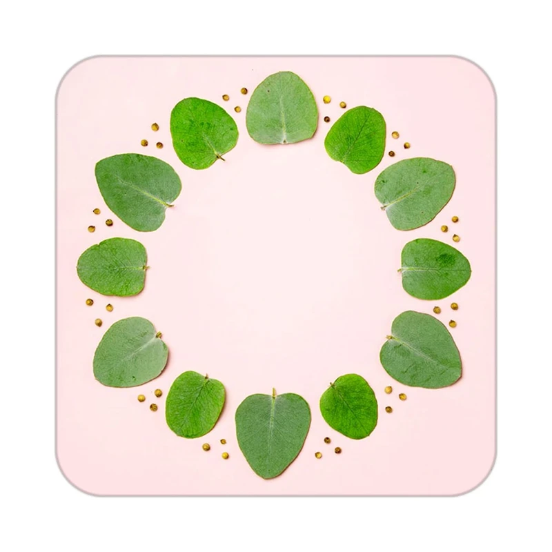 زیر لیوانی کاکتی طرح گل مدل mp19034