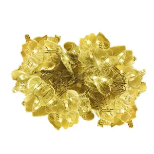  ریسه ال ای دی طرح قلب مدل L202 طول 3 متر