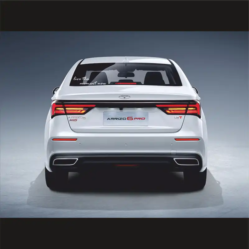 برچسب شیشه خودرو لیزارد مدل فانتزی طرح در لحظه زندگی کن کد LZD-858