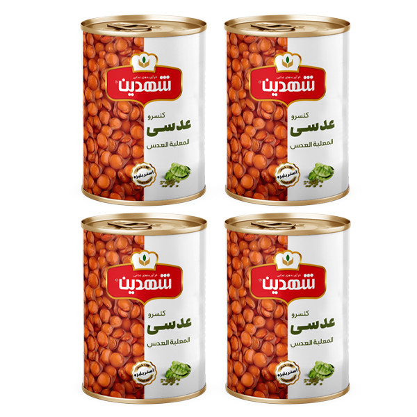     کنسرو عدسی شهدین - 370 گرم بسته 4 عددی