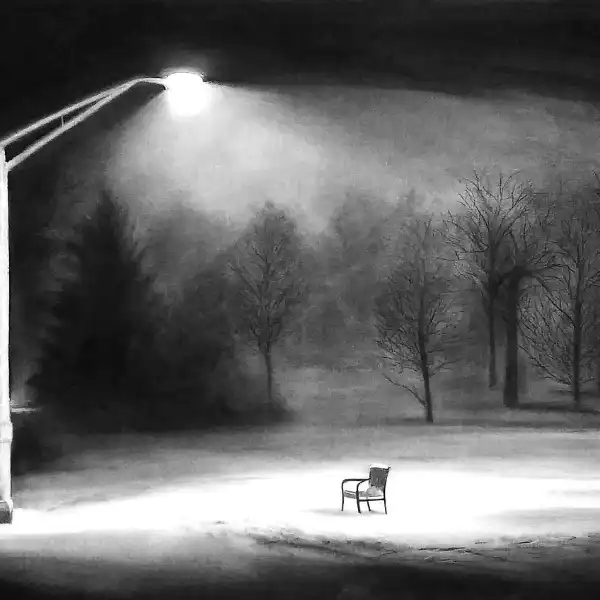 نقاشی سیاه قلم مدل شب برفی کد 007