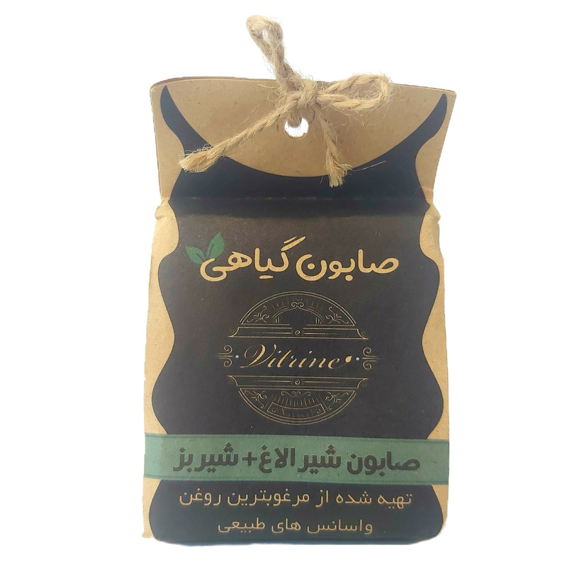 صابون شستشوی ویترین فود مدل شیر وزن 100 گرم