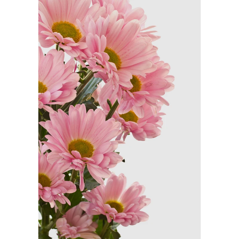 تابلو شاسی طرح گل مدل T6798