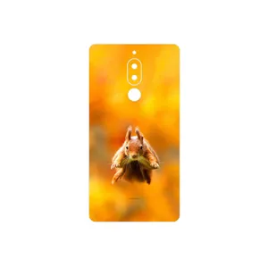 MAHOOT Squirrel Cover Sticker for Hyundai Seoul Mix