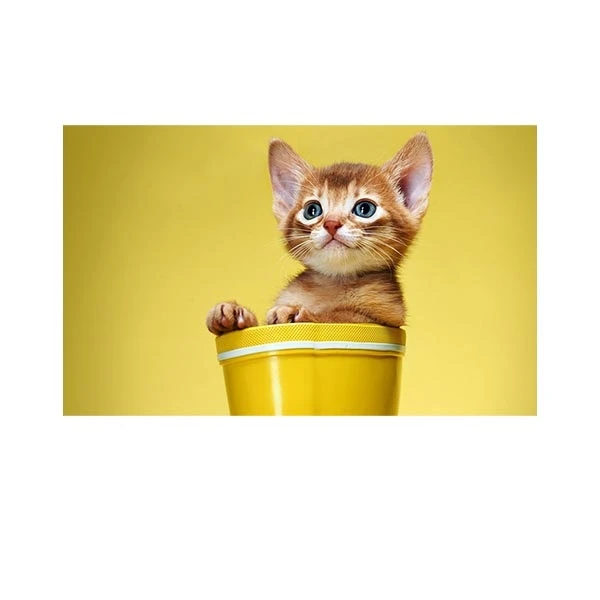   پادری مدل حیوانات کد HSHMA0019 سایز 76x46 سانتی متر