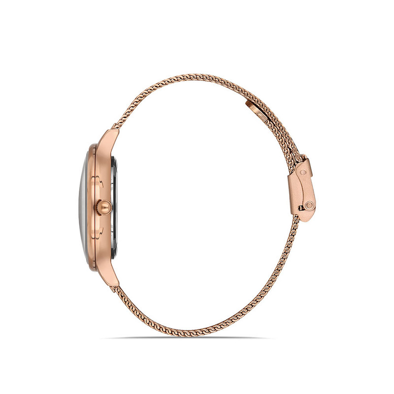 ساعت مچی عقربه ای زنانه دنیل کلین مدل DK.1.12990-2