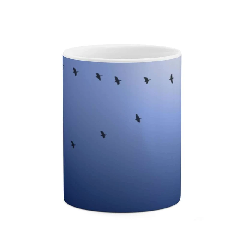 ماگ کاکتی مدل فانتزی کد  mgh12897