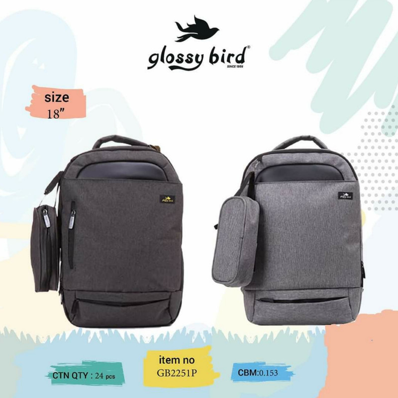 کوله پشتی گلاسی برد مدل GB2251P به همراه جامدادی