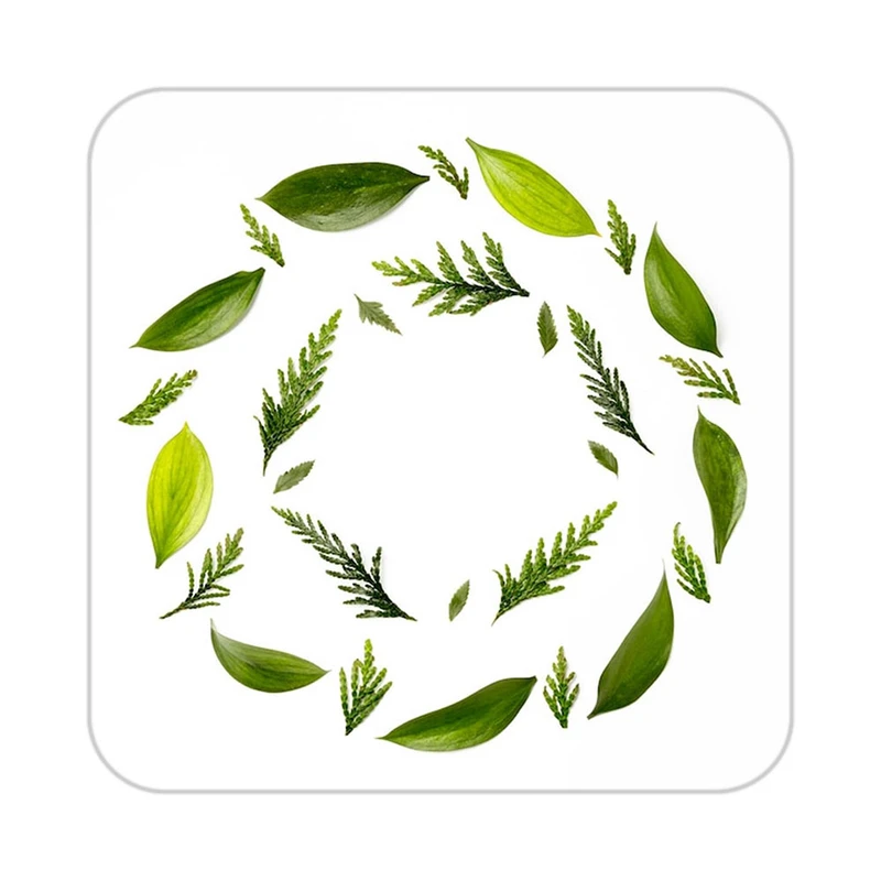 زیر لیوانی کاکتی طرح گل مدل mp19135