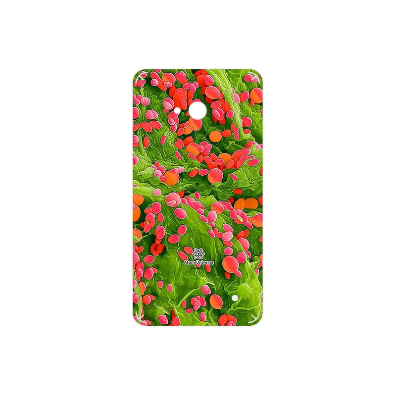 برچسب پوششی ماهوت مدل Atom Universe 3 مناسب برای گوشی موبایل مایکروسافت Lumia 640