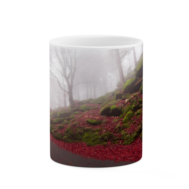 ماگ کاکتی مدل منظره کد mgh17674