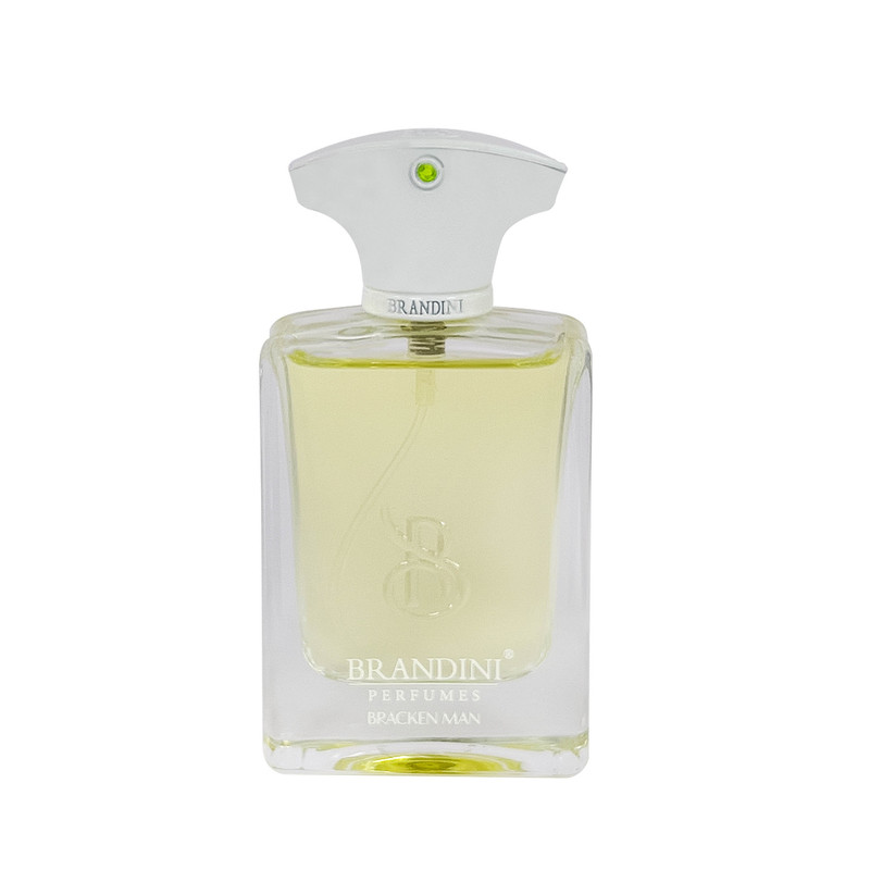 عطر جیبی مردانه برندینی مدل Bracken حجم 33 میلی لیتر عطر جیبی مردانه برندینی مدل Bracken حجم 33 میلی لیتر