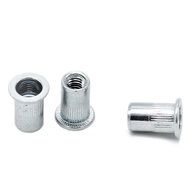 مهره پرچ مدل M6-PA کد PAYA79 مجموعه 100 عددی