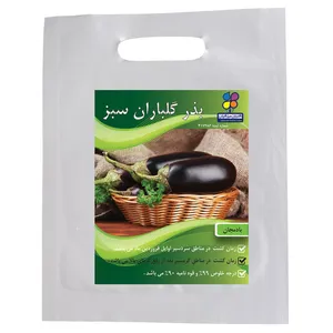 بذر بادمجان گلباران سبز