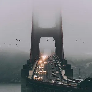 پوستر دیواری مدل mt-83565