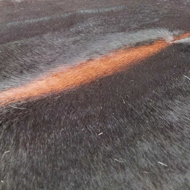 فرش پوست و چرم کمالی مدل AA-0732 فرش پوست و چرم کمالی مدل AA-0732