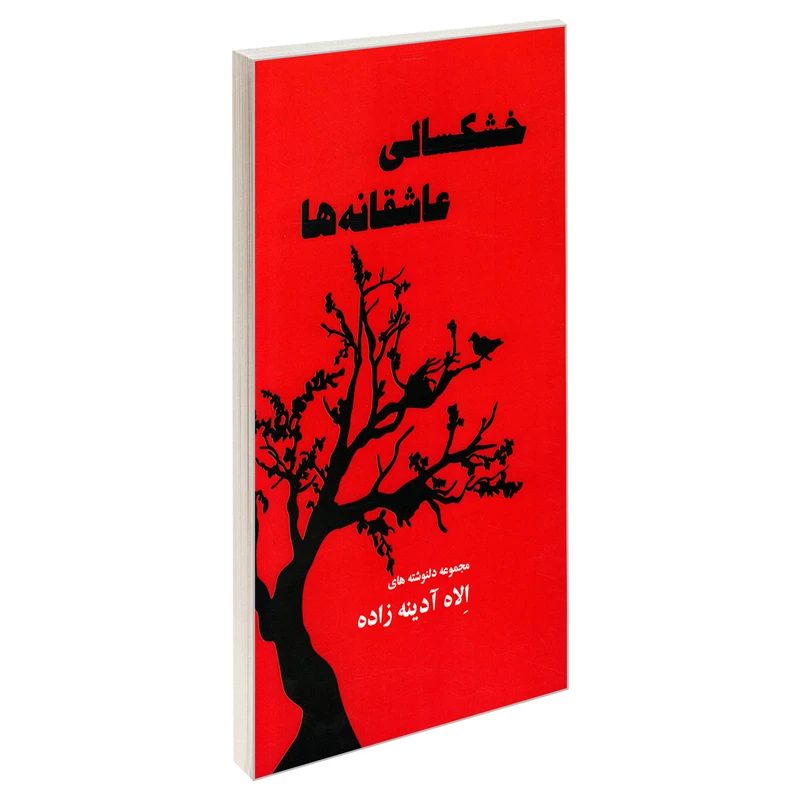 کتاب خشکسالی عاشقانه ها اثر الاه آدینه زاده نشر جانسوز