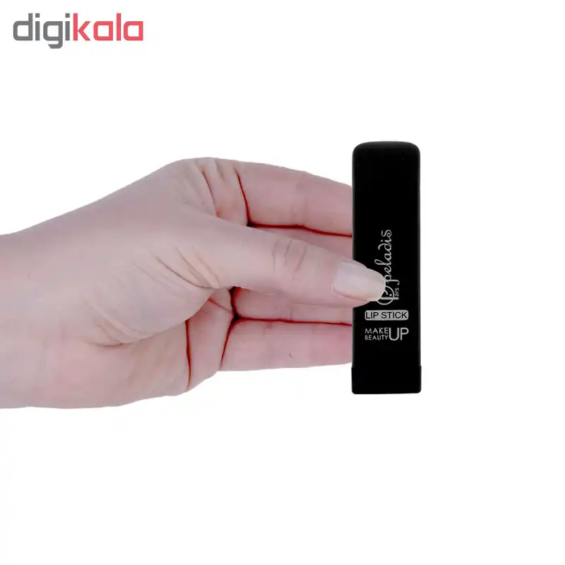 رژ لب جامد پلادیس مدل 3D شماره 304