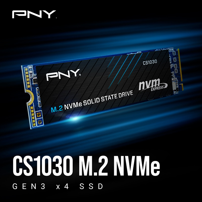 اس اس دی اینترنال پی ان وای مدل CS1030 M.2 NVMe ظرفیت 250 گیگابایت
