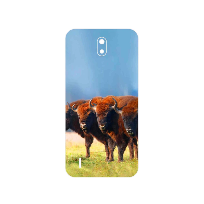 برچسب پوششی ماهوت مدل Buffalo مناسب برای گوشی موبایل نوکیا C1