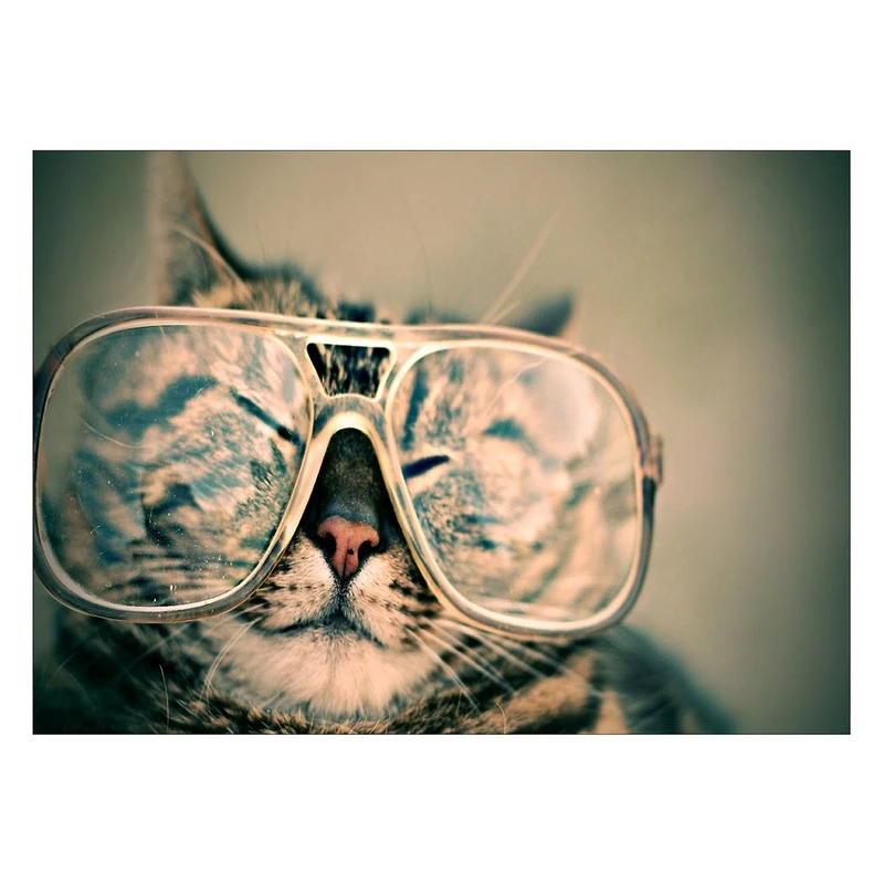 تابلو شاسی ونسونی طرح Cat Wearing Glasses سایز 50x70 سانتی متر