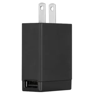 Sony EP880 Wall Charger With Flat 2 Prong Plug