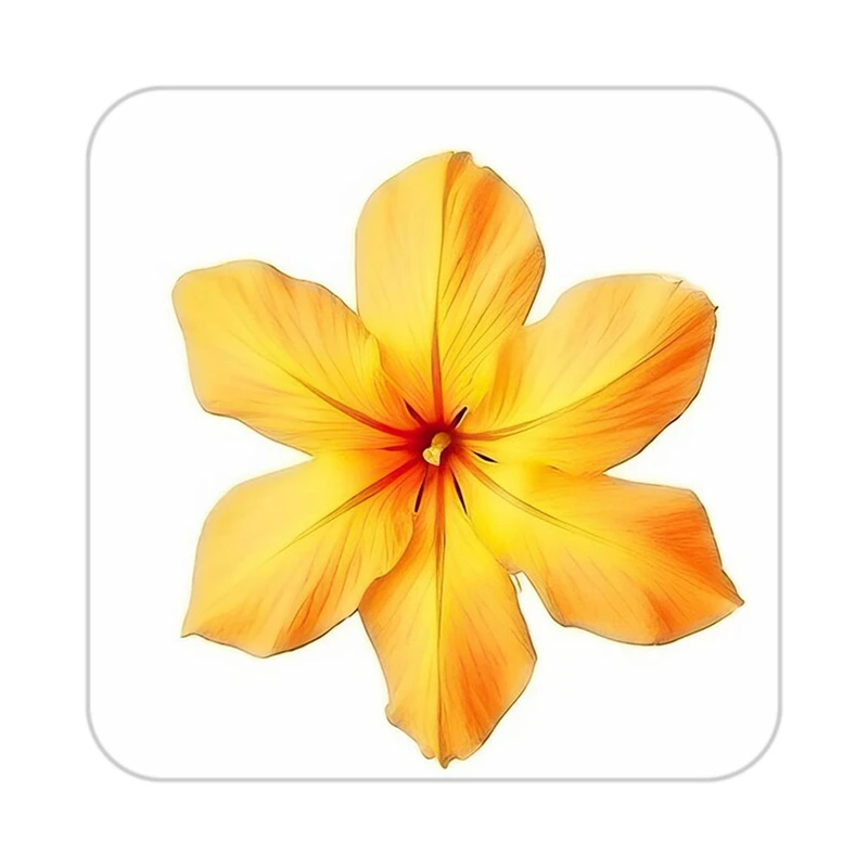 زیر لیوانی کاکتی طرح گل مدل mp17541