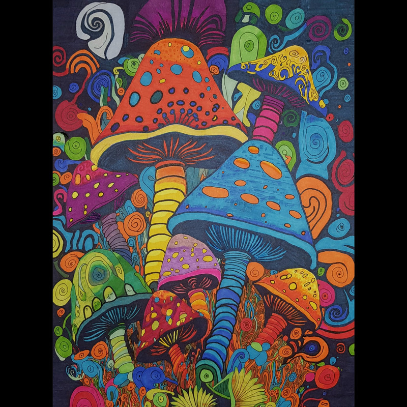 نقاشی طرح قارچ های جادویی