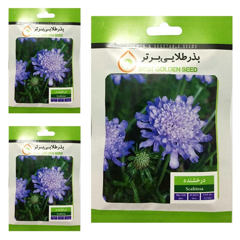 بذر گل درخشنده بذر طلایی برتر کد BTB-40 مجموعه 3 عددی