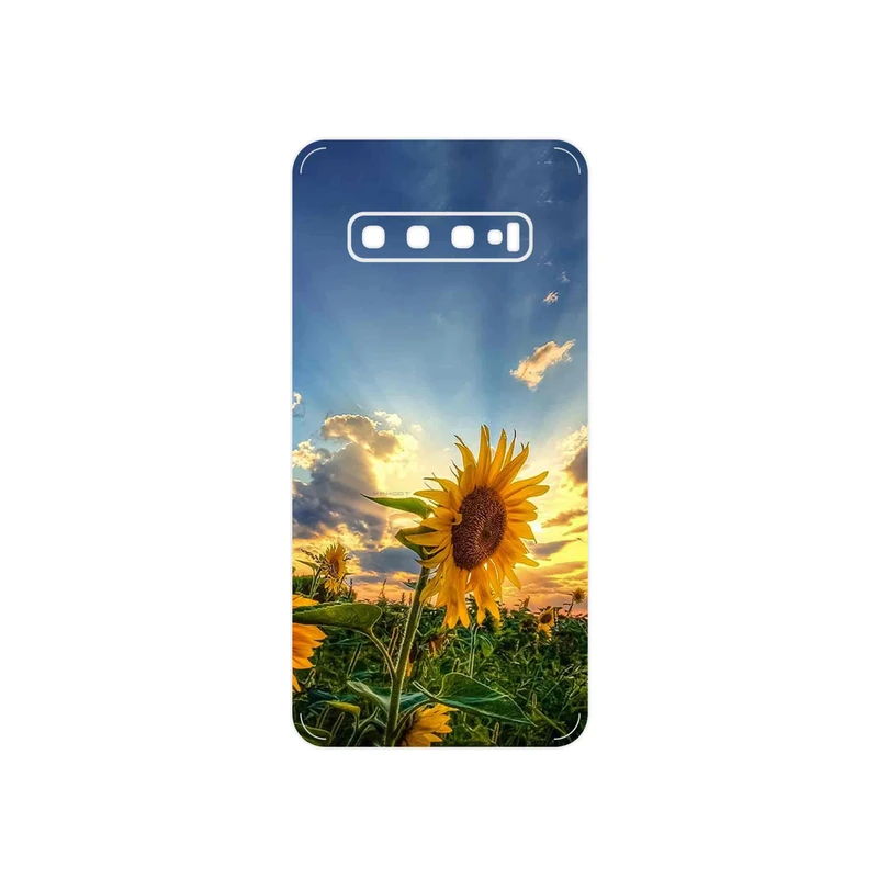 برچسب پوششی ماهوت مدل Summer Season مناسب برای گوشی موبایل سامسونگ Galaxy S10