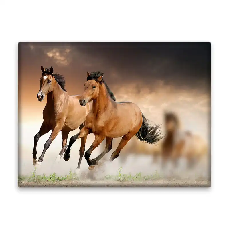 کاشی اطلس آبی طرح حیوان اسب مدل T1323