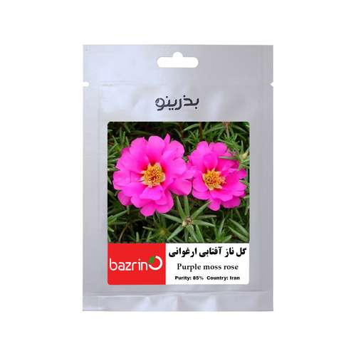 بذر گل ناز آفتابی ارغوانی بذرینو کد BZNO-017