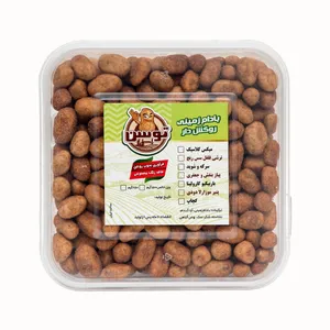 بادام زمینی روکشدار باربیکیو کارولینا توسن - 500 گرم